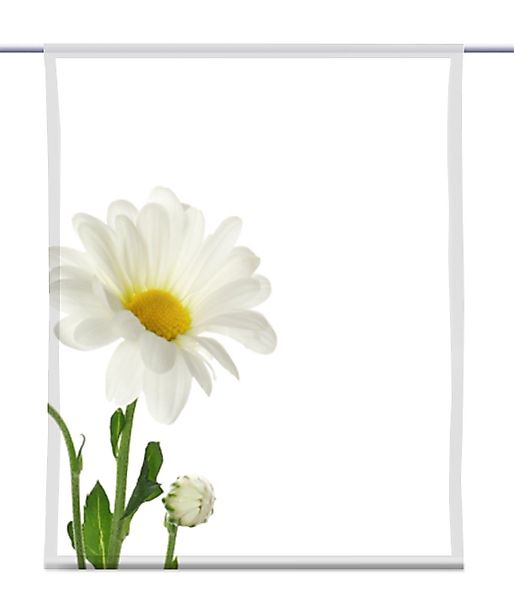gardinen-for-life Scheibengardine Margarete links – eckig günstig online kaufen