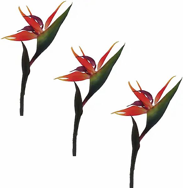 Creativ green Kunstblume »Strelizie« im 3er Set günstig online kaufen