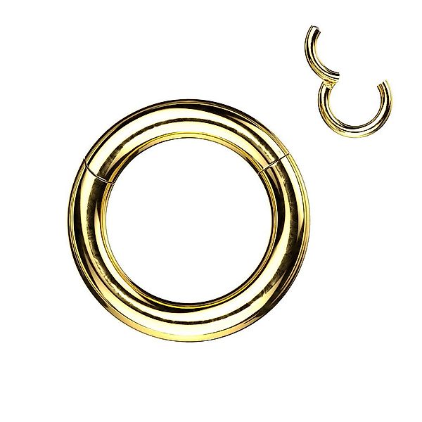Taffstyle Nasenpiercing Septum Piercing Clicker Ring günstig online kaufen