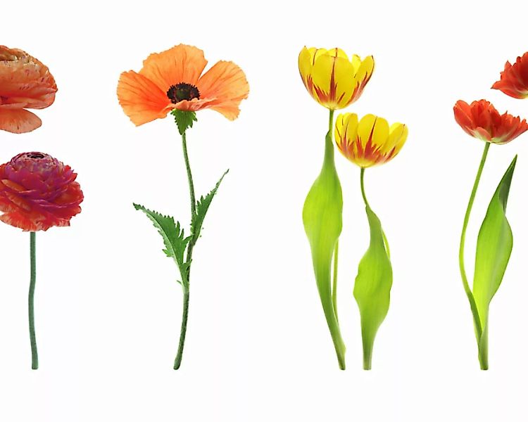 Fototapete "Sommerblumen" 4,00x2,50 m / Strukturvlies Klassik günstig online kaufen