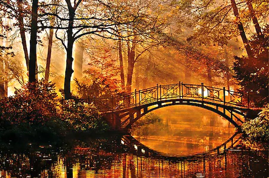 Papermoon Fototapete »Misty Park Bridge« glatt günstig online kaufen