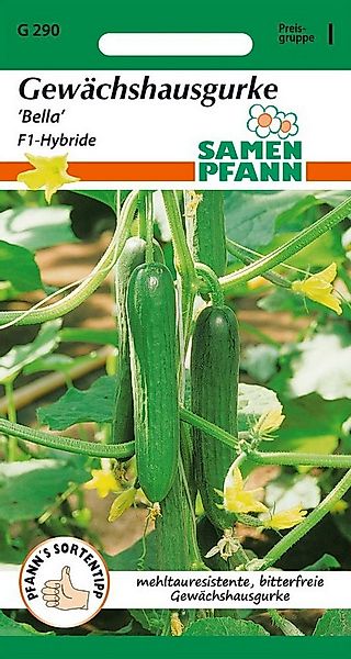 SAMEN PFANN Gemüsesamen Gewächshausgurke, Bella F1 - Gurken-Samen Saatgut S günstig online kaufen