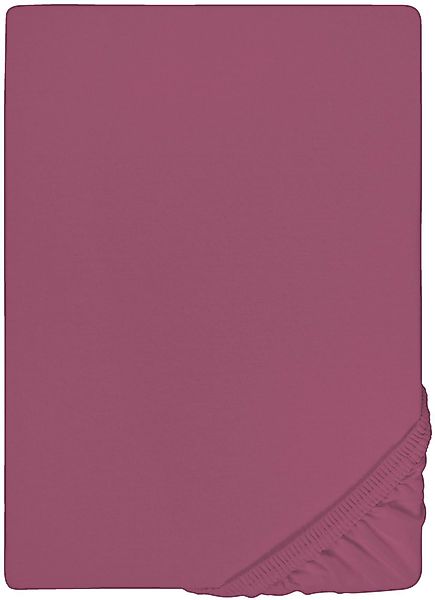 Castell - Markenbettwäsche Spannbettlaken Jersey in günstig online kaufen