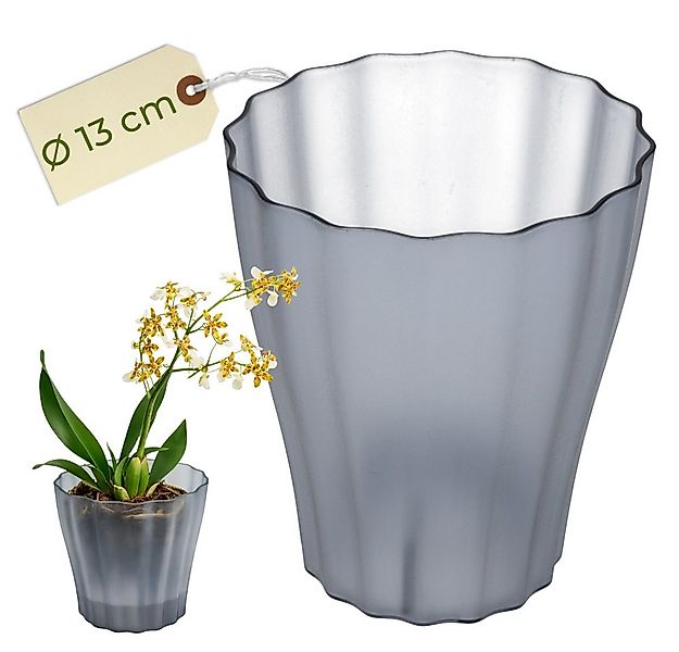GarPet Blumentopf Orchideentopf Transparent Orchideen Übertopf Kunststoff S günstig online kaufen
