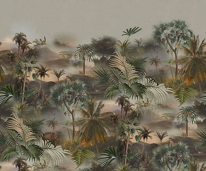 Rasch Fototapete »Vliestapete Curiosity 543599« tropisch glatt Dschungeltap günstig online kaufen