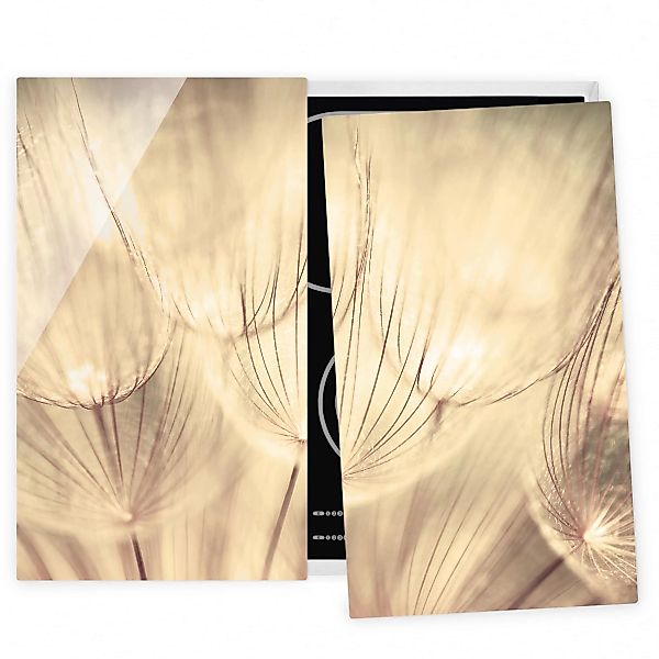 2-teilige Herdabdeckplatte Glas Blumen Pusteblumen Nahaufnahme in wohnliche günstig online kaufen