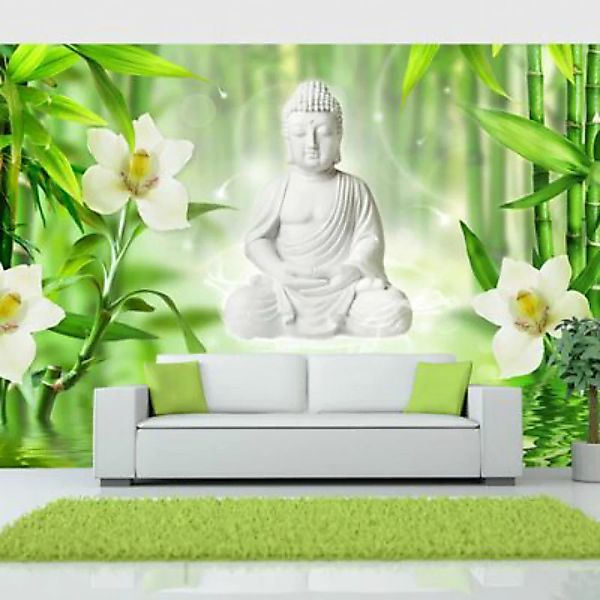 artgeist Fototapete Buddha and nature mehrfarbig Gr. 250 x 175 günstig online kaufen