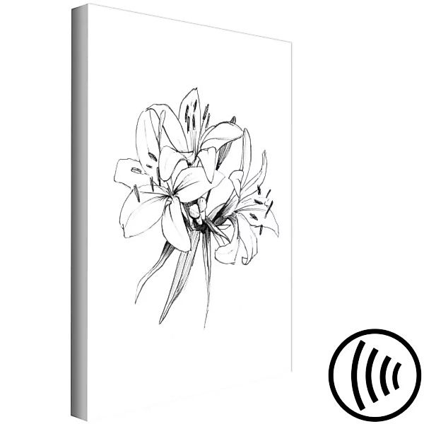 Bild auf Leinwand Schwarze-weiße Blüten - abstrakte und zarte Natur XXL günstig online kaufen
