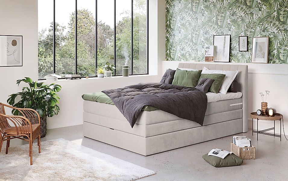 COTTA Boxspringbett »Shark inkl. Bettkasten und Topper« erhältlich in den B günstig online kaufen