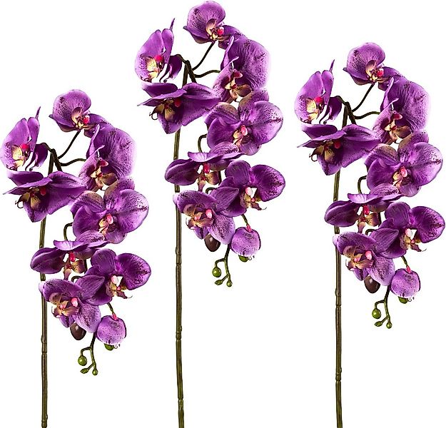 Kunstpflanze Orchidee, Creativ green, Höhe 98 cm, 3er Set günstig online kaufen