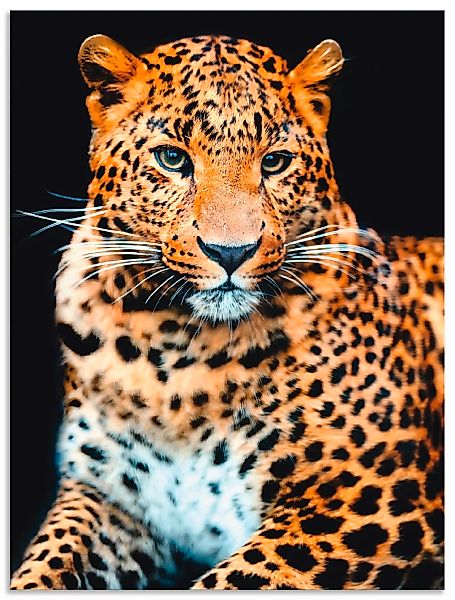 Artland Wandbild "Wütender wilder Leopard", Wildtiere, (1 St.), als Alubild günstig online kaufen