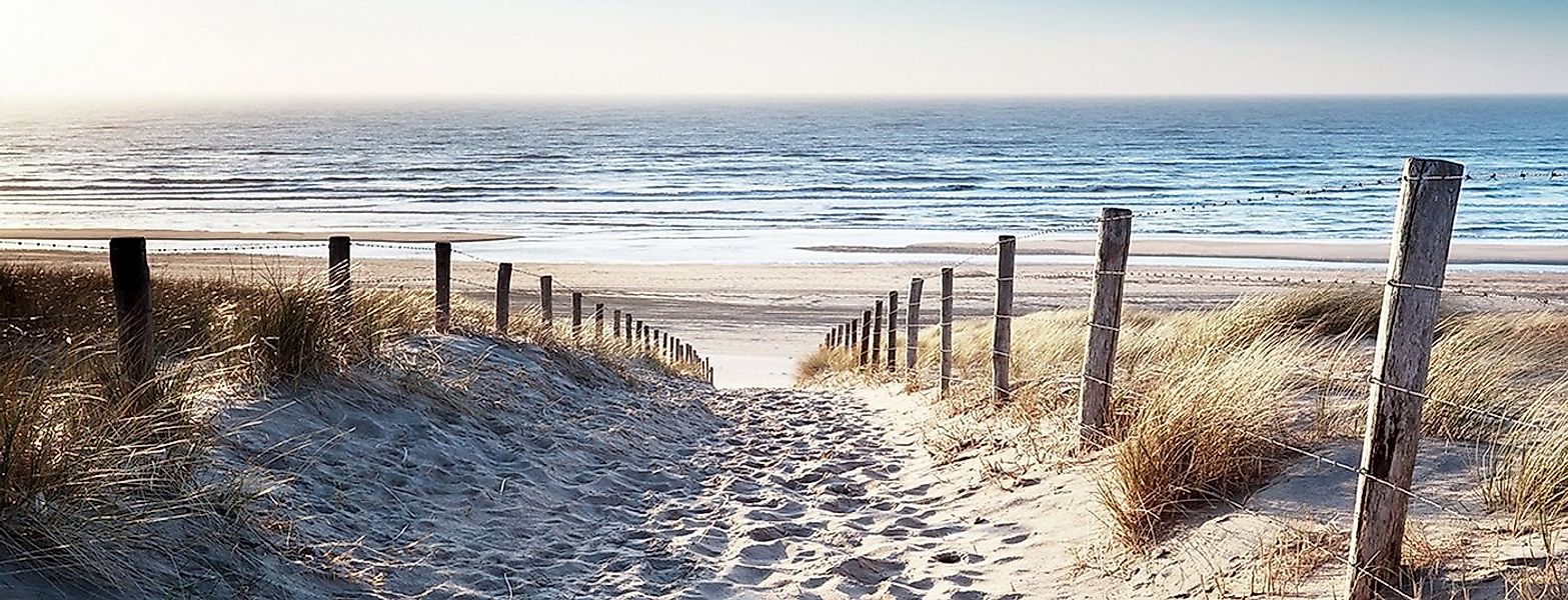 artissimo Glasbild Bild aus Glas 80x30 cm / Wandbild Querformat / Wanddeko günstig online kaufen