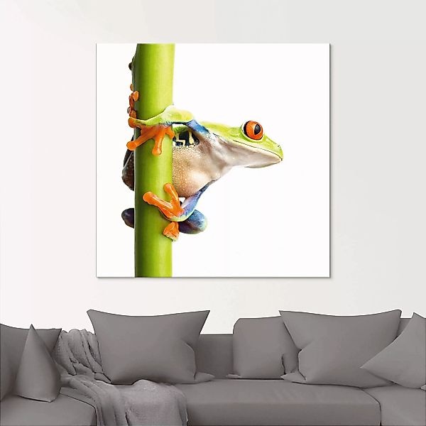 Artland Glasbild »Frosch umfasst einen Pflanzenstengel«, Wassertiere, (1 St günstig online kaufen