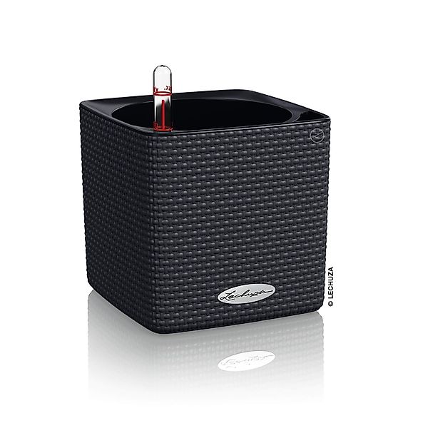 Lechuza® Kräutertopf Cube Color 14 mit günstig online kaufen