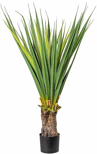 Creativ green Künstliche Zimmerpflanze »Aloe« günstig online kaufen
