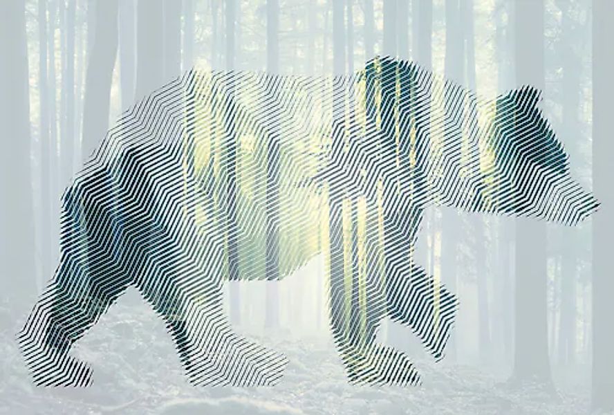 Architects Paper Fototapete »Atelier 47 Bear Forest 1« Wald glatt Vlies, Wa günstig online kaufen