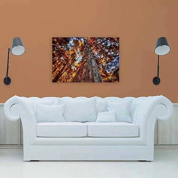 Bricoflor Herbstbild Auf Leinwand Baumkronen Bild Orange Blau Für Wohnzimme günstig online kaufen