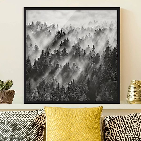 Bild mit Rahmen Natur & Landschaft - Quadrat Lichtstrahlen im Nadelwald günstig online kaufen