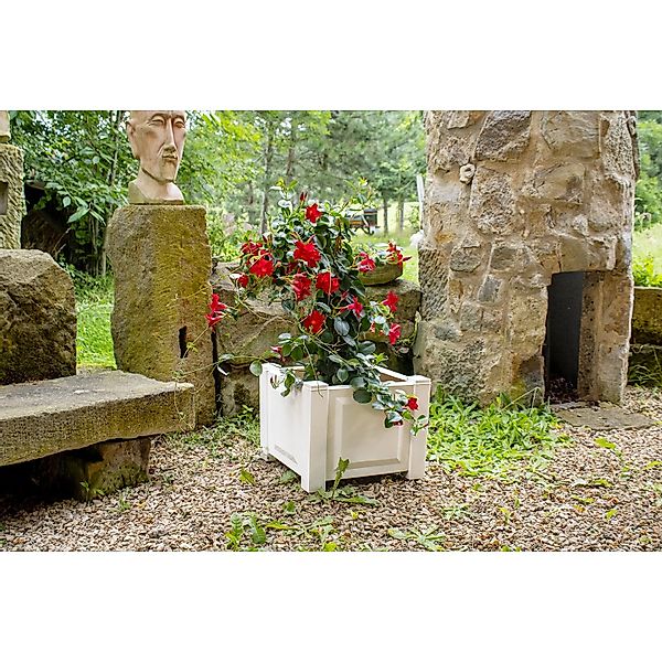 KHW Pflanzkübel, Kunststoff, BxTxH: 43x43x34 cm günstig online kaufen