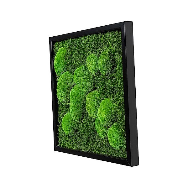 Moos-Design Bild Moosbild Fifty Fifty Design günstig online kaufen