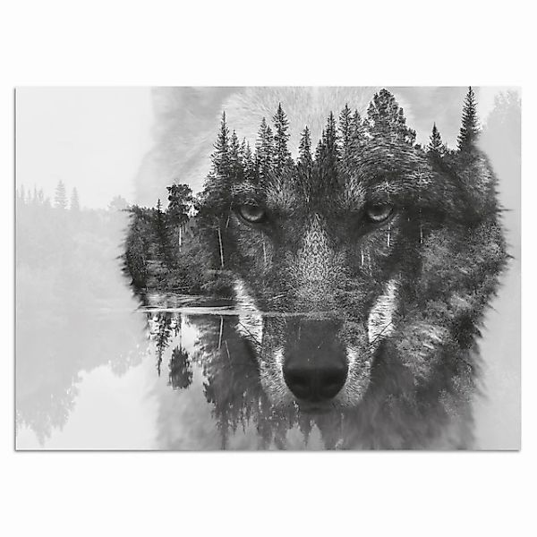 Home affaire Acrylglasbild »Wolf«, Schwarz-Weiß-Tiere-Wolfbilder-Wildtiere- günstig online kaufen