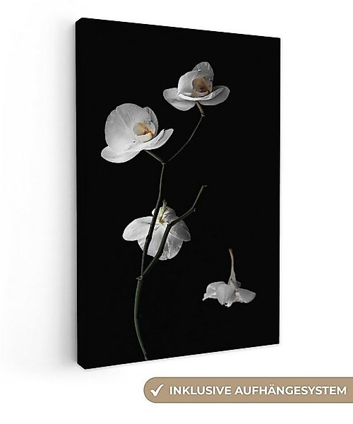 OneMillionCanvasses® Leinwandbild Orchidee - Blumen - Schwarz - Weiß - Stil günstig online kaufen