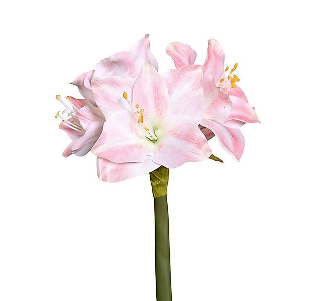 Kunstblume Kunstblume - Amaryllis - rosa, DPI günstig online kaufen