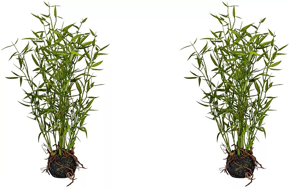 Creativ green Künstliche Zimmerpflanze "Bambus im Moosballen" günstig online kaufen