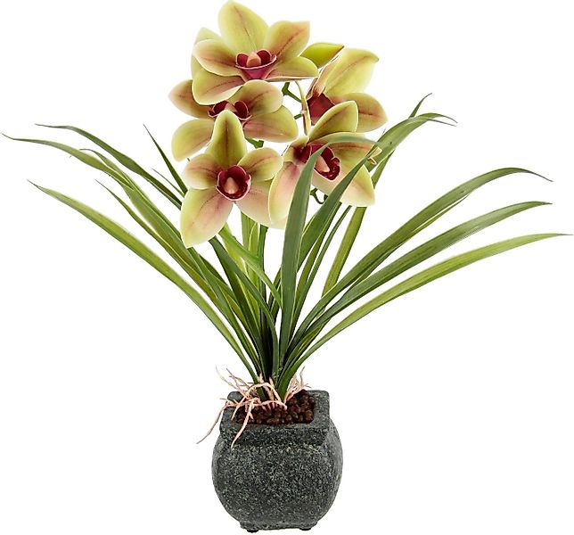 Kunstblume Orchidee, my home, Höhe 40 cm, Mit Blätter im Topf aus Zement Kü günstig online kaufen