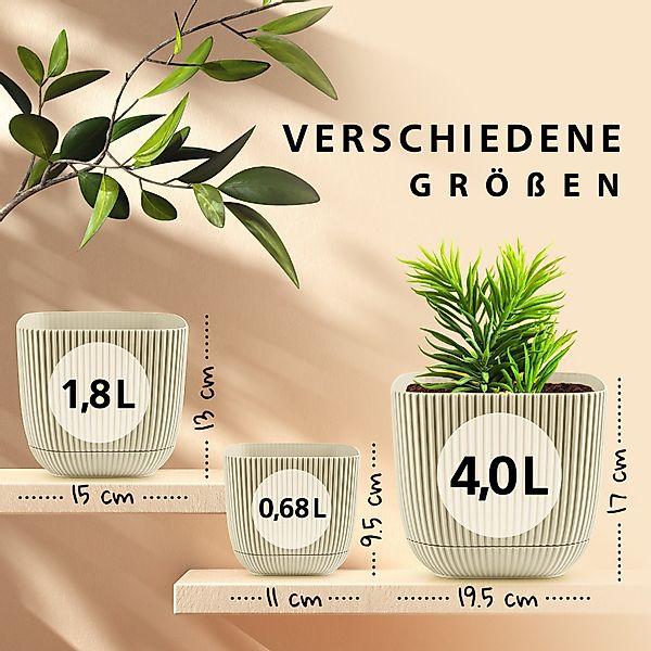 KONZEPT Blumentopf Blumentopf mit Untersetzer, Übertopf günstig online kaufen