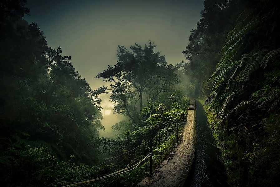 Papermoon Fototapete "Photo-Art ROLAND WEBER, LEVADA WALK" günstig online kaufen