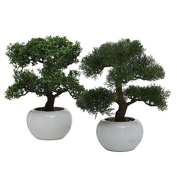 Kunstbonsai, BOLTZE, aus Kunststoff, Weiß / günstig online kaufen