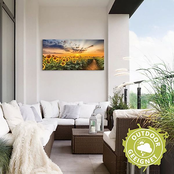 Artland Wandbild "Sonnenblumenfeld bei Sonnenuntergang", Blumenbilder, (1 S günstig online kaufen