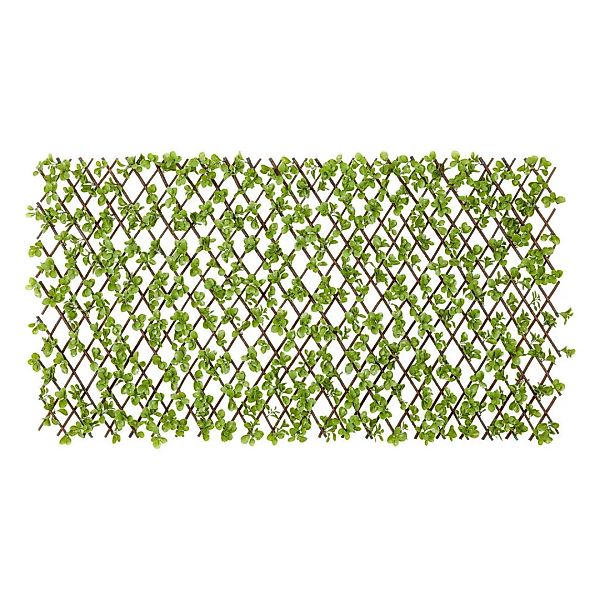 Garden Deluxe Dekozaun Jadeblatt grün B/H/L: ca. 100x0,3x200 cm günstig online kaufen