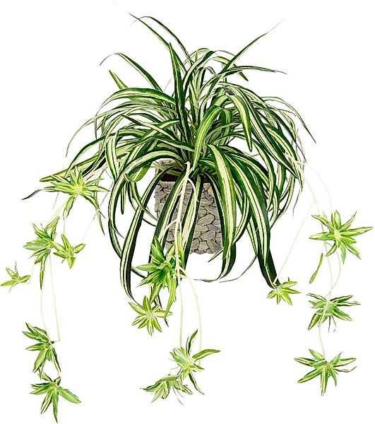 Kunstpflanze Wasserlilie Wasserlilie, I.GE.A., Höhe 35 cm, im Übertopf günstig online kaufen