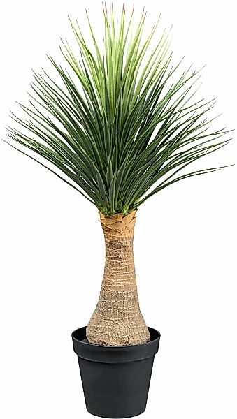 Creativ green Kunstpflanze "Yucca Nolina Recurvata", auf Stamm günstig online kaufen