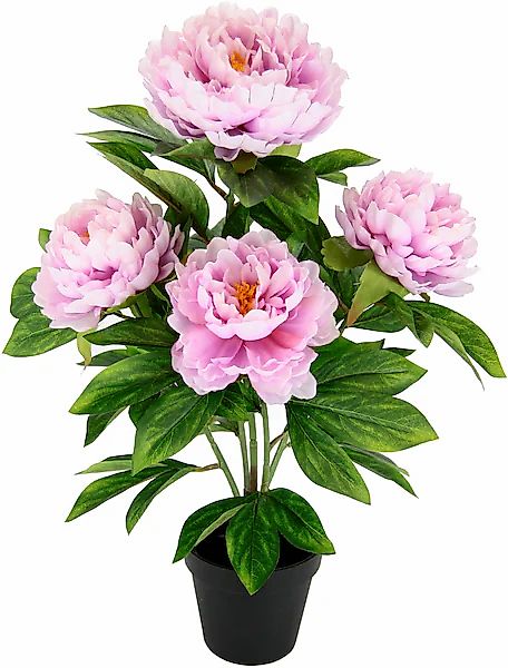 I.GE.A. Kunstblume »Päonie«, Seidenblumen günstig online kaufen