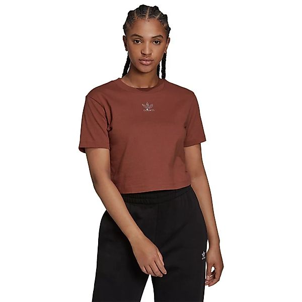 Adidas Originals Cropped Kurzarm T-shirt 34 Earth Brown günstig online kaufen
