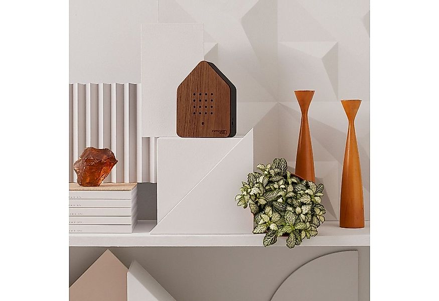 Relaxound GmbH Wanddekoobjekt Zwitscherbox Natur Walnuss Schwarz günstig online kaufen