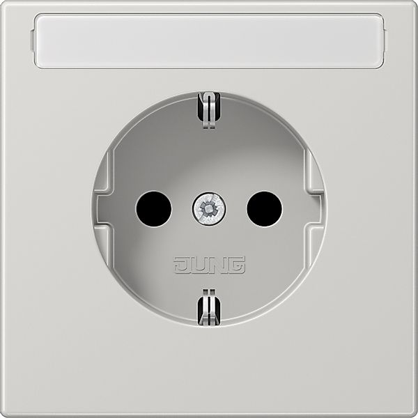 Jung SCHUKO-Steckdose 16A 250V mit Schriftfeld LS 1520 NA LG günstig online kaufen
