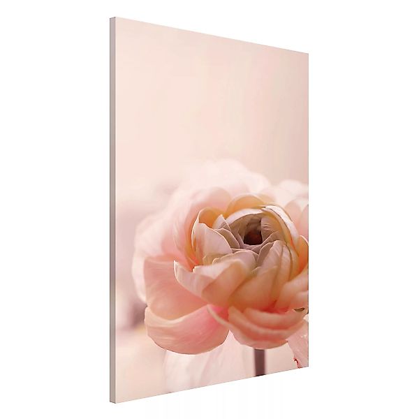 Magnettafel Rosa Blüte im Fokus günstig online kaufen