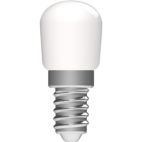 LED's light LED-Leuchtmittel 0620205 LED Kapsel, günstig online kaufen