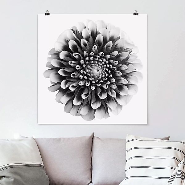 Poster - Quadrat Aster II günstig online kaufen