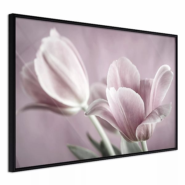 Poster - Pastel Tulips I günstig online kaufen