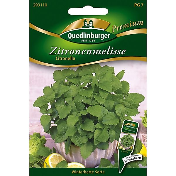 Quedlinburger Zitronenmelisse Citronella Loses Saatgut günstig online kaufen