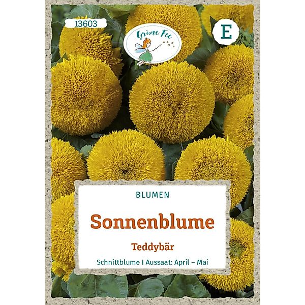 Grüne Fee Sonnenblume Teddybär Saatgut günstig online kaufen