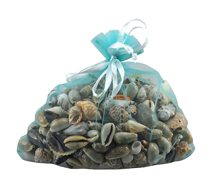 Forchtenberger Puzzle & Spiele Dekoobjekt Muscheln günstig online kaufen