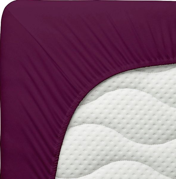 Schlafgut Spannbettlaken Spannbetttuch Beere, 100 % günstig online kaufen