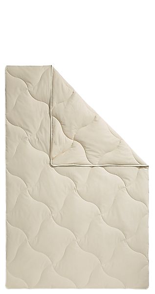 fan Naturfaserbettdecke TENCEL™ Leinen, Füllung: 50% günstig online kaufen