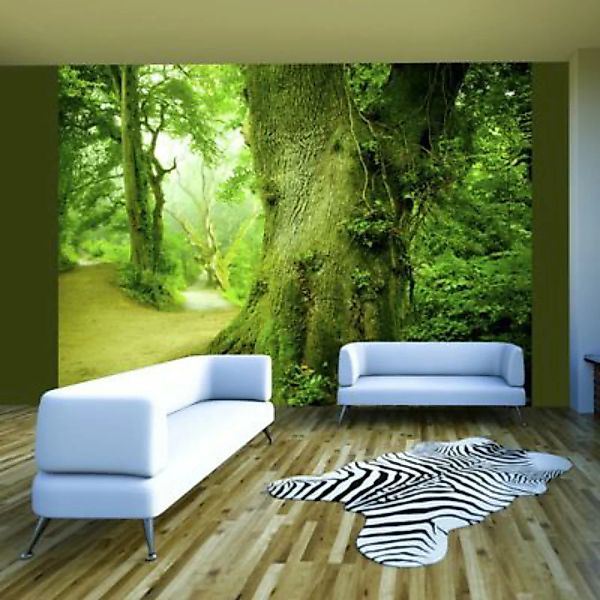 artgeist Fototapete Waldweg grün/weiß Gr. 200 x 154 günstig online kaufen